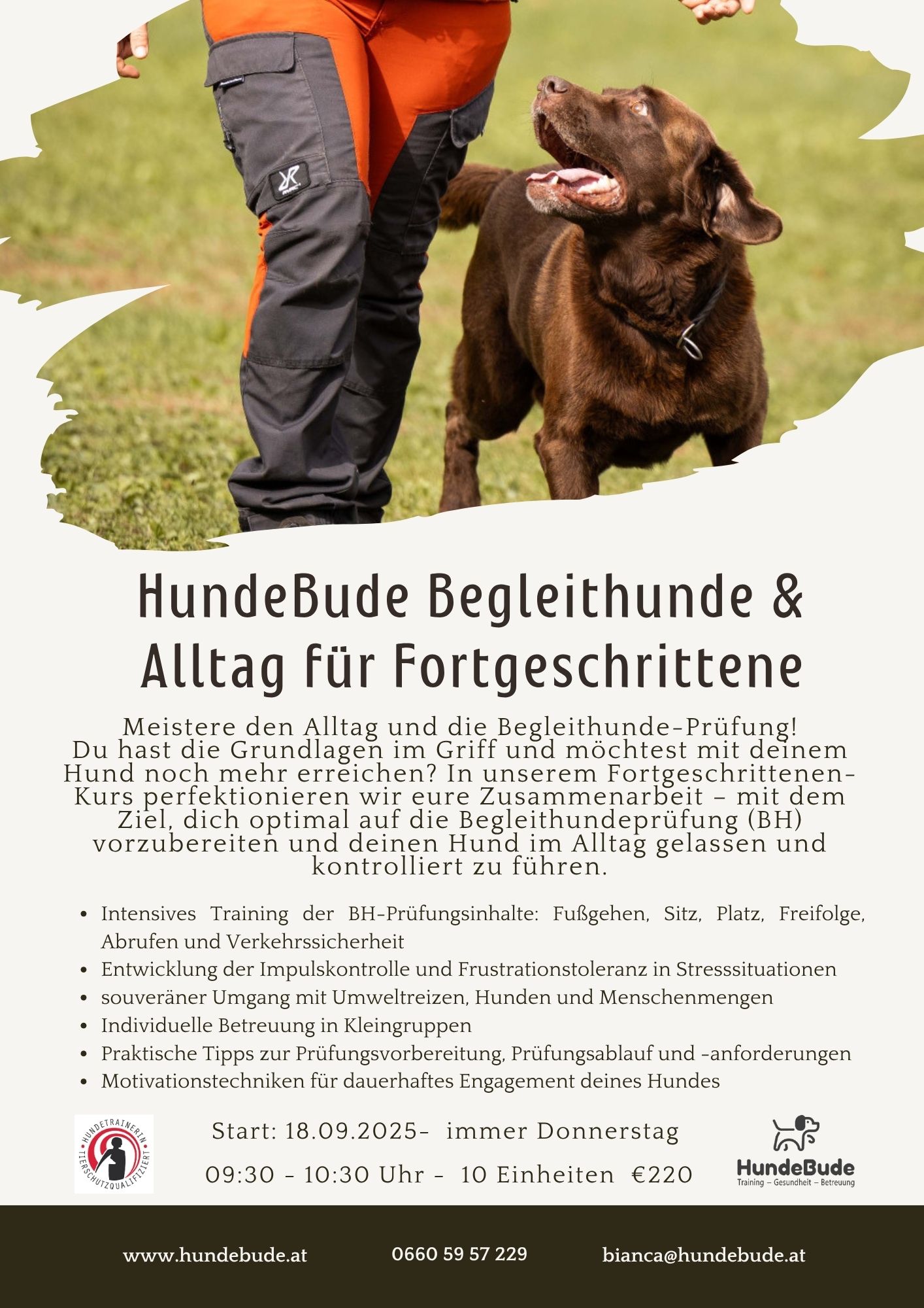 HundeBude Begleithunde Kurs